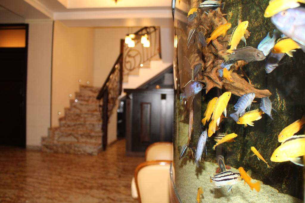 Hotel Anna Junior Târgu Jiu Zewnętrze zdjęcie